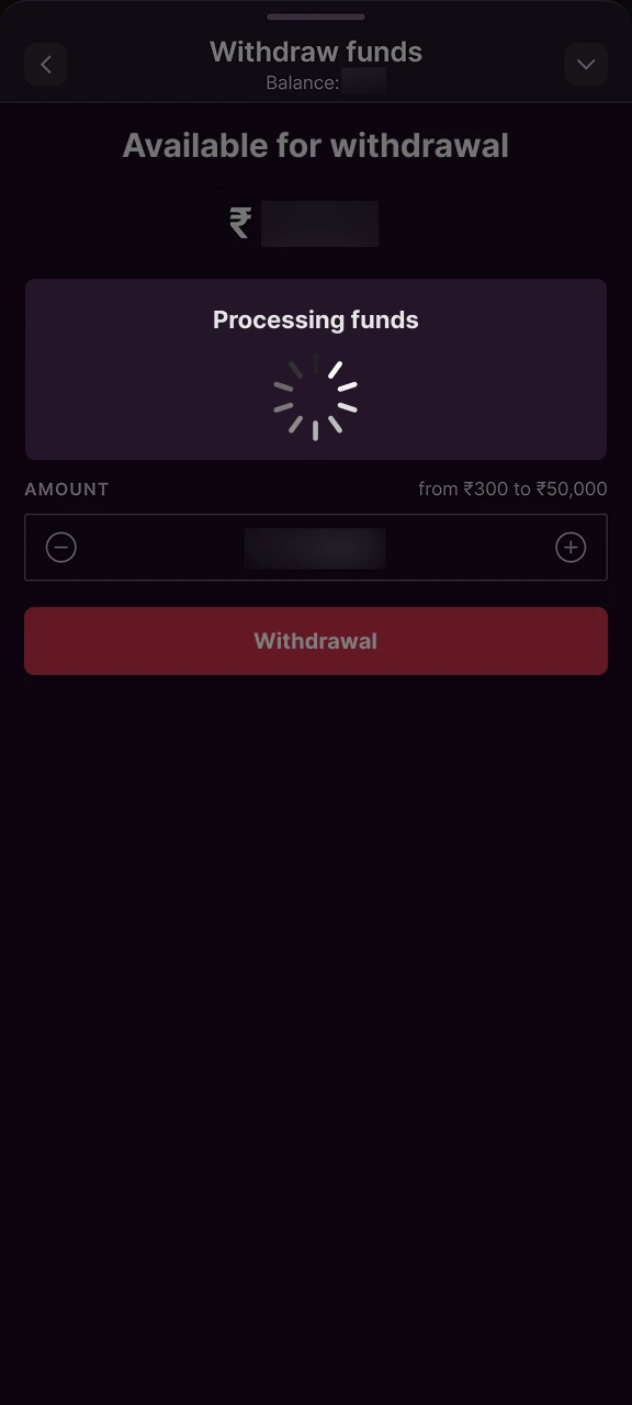 Wait until the funds are fully processed and appear in your chosen payment account.